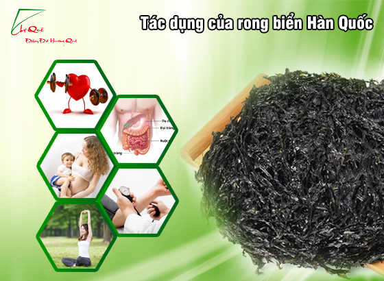 RONG BIỂN KHÔ HÀN QUỐC MUA Ở ĐÂU Ở HÀ NỘI?